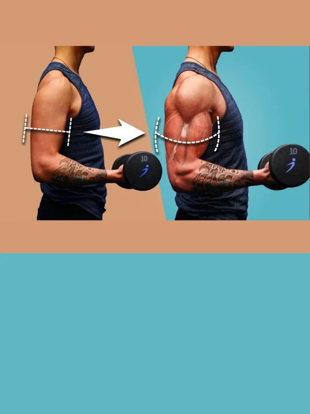 Muscle growth