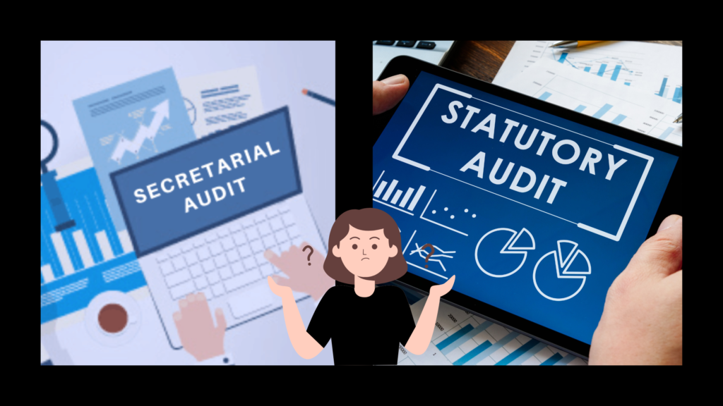 secretarial audit