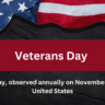 Veterans Day 2024
