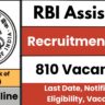 RBI Assistant recruitment 2025 apply online for 810 vacancies