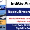 IndiGo Recruitment 2025: Apply Online Now for Multiple Positions (Male & Female)